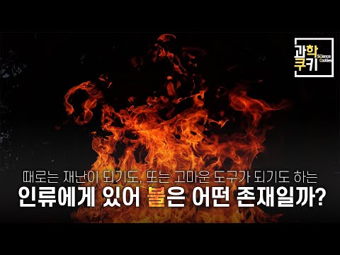 이제는 누구나 만들 수 있는 신의 도구 | 화학사 Part 3