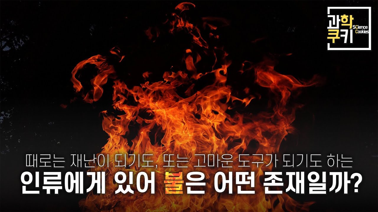 이제는 누구나 만들 수 있는 신의 도구 | 화학사 Part 3