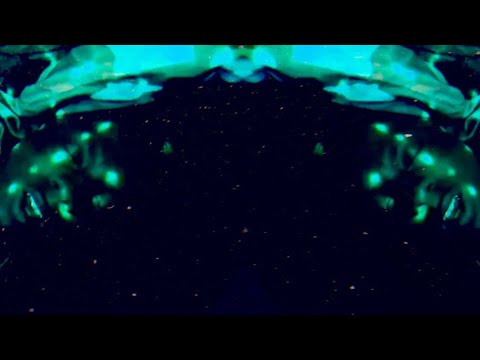 Giovanni P. - The Way You Did Me ft. Sam Scott (Official Video)