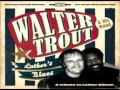 Walter%20Trout%20-%20Pain%20In%20The%20Streets
