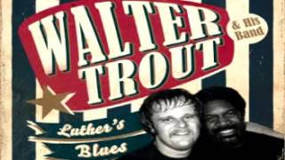 Walter Trout - Pain in the Streets