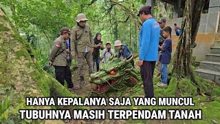 Download lagu Viral !! Awalnya Dikira Batu Berlumut Setelah Mendekat Ternyata Kepala Ular Naga Menjadi Batu  mp3