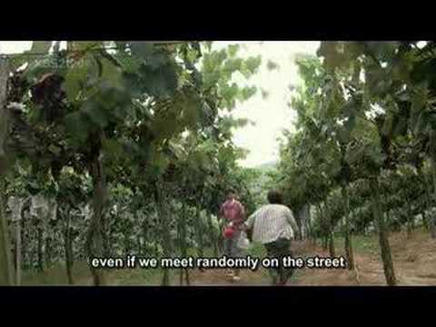 [MV]The Vineyard Man
