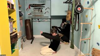 Qigong Challenge and Deadly Katas Class 3