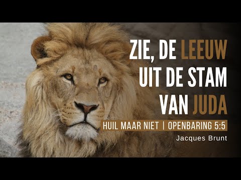 Zie, de leeuw uit de stam van Juda - Jacques Brunt