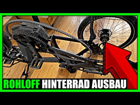Rohloff Hinterrad als Anfänger bei E-Bike ausbauen | Tipps vom Zweiradmechniker