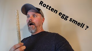 Rotten egg smell