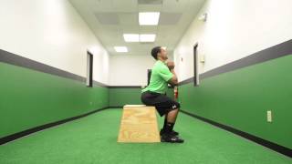 256. Dumbbell Goblet Box Squat