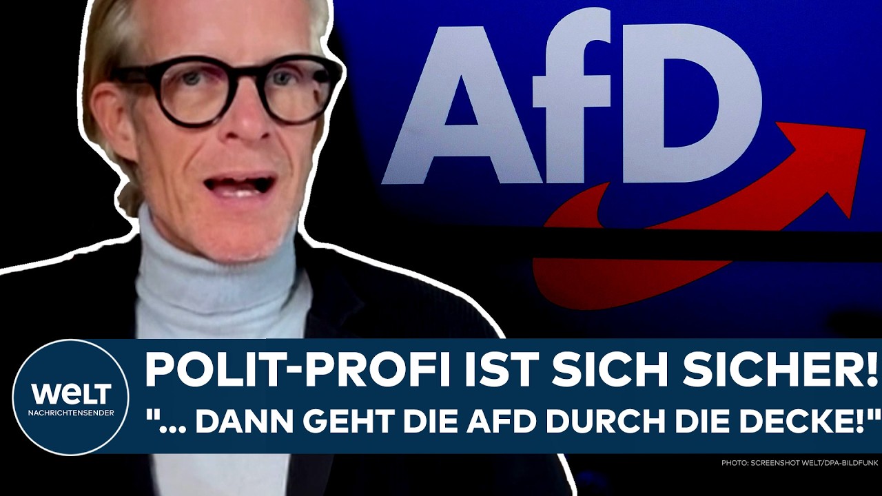 DEUTSCHLAND: Polit-Profi ist sich sicher! "... dann geht die AfD durch die Decke!"