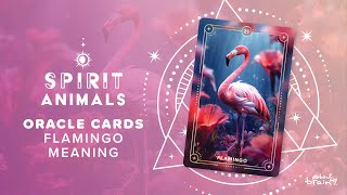 Flamingo Spirit Animal | Symbolism &amp; Meaning Explained