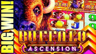 ASCENDED!! X3 X5 FEATURE TRIGGERED! 🦬 BUFFALO ASCENSION Slot Machine (Aristocrat Gaming)