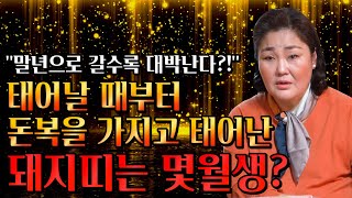 태어날 때부터 돈복을 가지고 태어난 돼지띠는 몇월생?! / 2023년 계묘년 돼지띠운세 대박난다! 돼지띠에게 생길 큰 변화들 [59년생 71년생 83생 95년생 돼지띠운세]