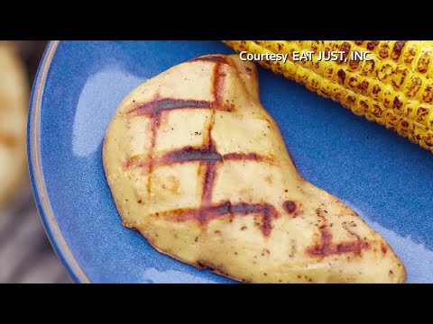 シンガポール、実験室で育てた鶏肉の販売を承認 (Singapore approves sale of lab-grown chicken meat)