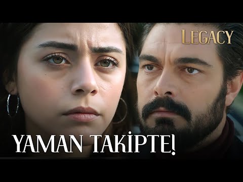 Two stubborn goats 🐐 | Legacy Episode 271