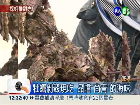 搭船出海採鮮蚵 澎湖好吃又好玩!