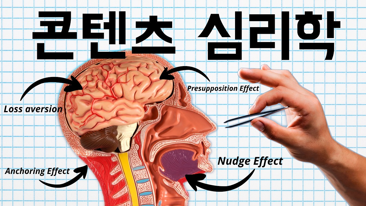 유튜브 알고리즘 넘는 마케팅 과학, 크리에이터 생존 전략
