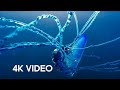 The Deadly Portuguese Man O War 4KUHD Blue Planet II BBC Earth