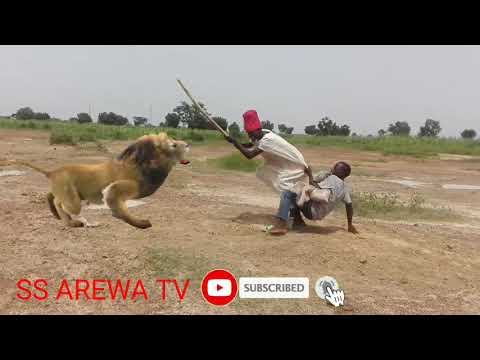 Zumbudi tv#Kunga Fadan Zaki Da Mai Kito Asha dariya#aduniya#labarina#Farin wata#izzarso#Adam A Zango