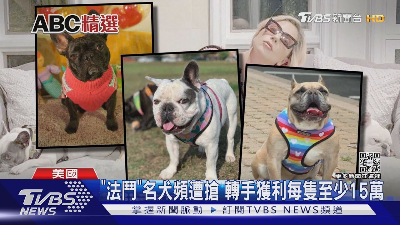 轉手可賣15萬　美男遛「法鬥」愛犬遭飛車抱走