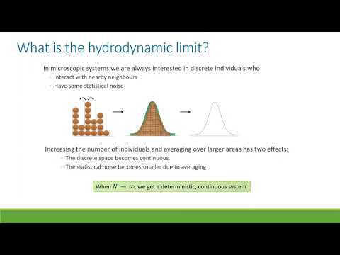 Mark Bugden -- Animal Collectives in the hydrodynamic limit