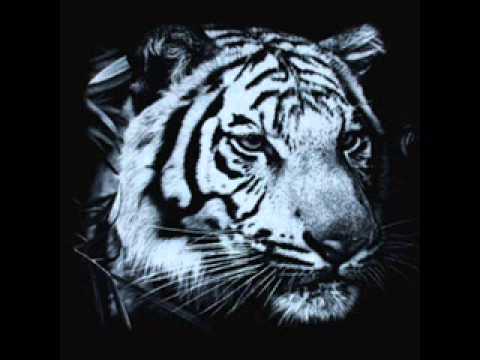 download lagu mp3 mp4 Post War Years The Greats And The Happenings 2009 Mp3, download mp3 Post War Years The Greats And The Happenings 2009 Mp3 free download, download mp3 Post War Years The Greats And The Happenings 2009 Mp3