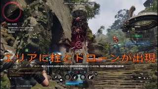 TFD新ダンジョンギミック解説(柱とドローン)(字幕のみ)