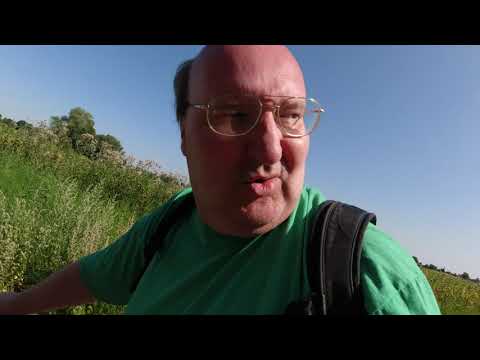 MongoTV_3234 - English Vlog_0137 - Driving To Timber Station In Frederiksdal