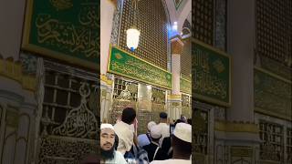 Download lagu صل اللہ علیہ والہ سلام صل اللہ علیہ والہ سلام🙌🌹💚#madina #prophet #muhammadﷺ #ytshorts #shorts mp3