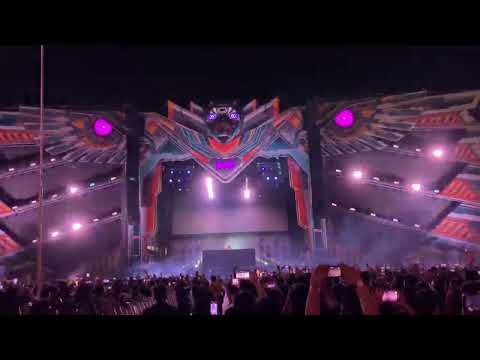 Zedd DWP 2022 - Spectrum