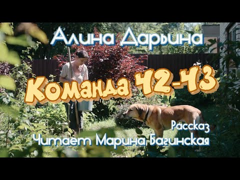Алина Дарьина "Команда 42-43" рассказ Читает Марина Багинская