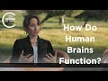 Elissa Epel - How Do Human Brains Function?