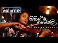 Sithin Maa Nosali Instrumental Cover The Volume