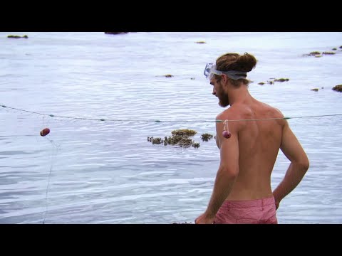 Jonas Carlsson: "En riktig håll käften-middag ska vi laga ikväll" – Robinson (TV4)