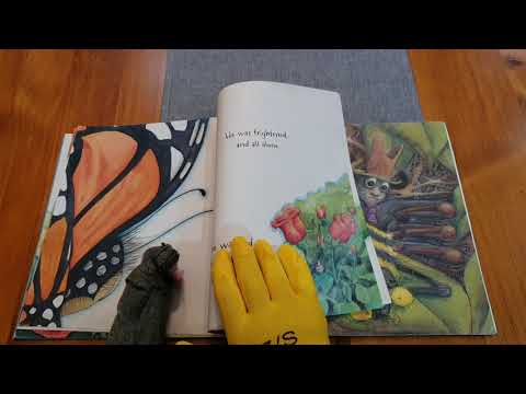 Willbee the Bumblebee