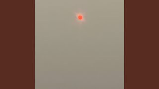 Cover art for DOORMATT