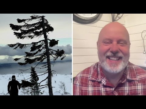 Old Tjikkos topp hittat – Tommy har letat hela vintern | Nyhetsmorgon | TV4 & TV4 Play