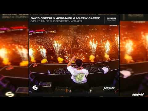 Bad vs. Turn Up The Speakers vs. Animals (Afrojack UMF Mashup) [Sebstax Remake]