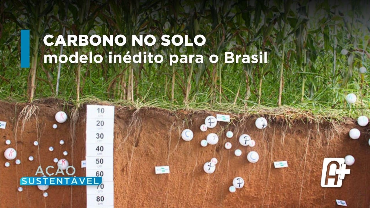 Agricultura de Carbono: Modelo tropical com Luis Gustavo Barioni (Embrapa) | Ação Sustentável