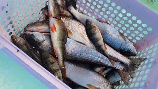 Байкал зимняя рыбалка на малом море