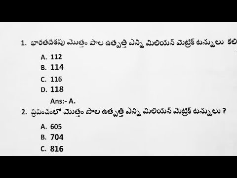 Dr. Sara May, Allergy and Immunology