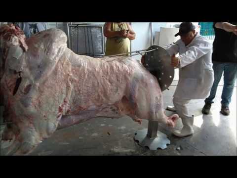 UN Entrevista Equipe Tropical Boi no Rolete