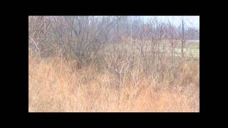 LPGRCH LPBCH Chimney Rock's Bad Moon Rising
