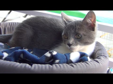 Agronunes Agropecuária #agricultura