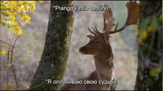 Angelo Branduardi 976 - Il Dono Del Cervo