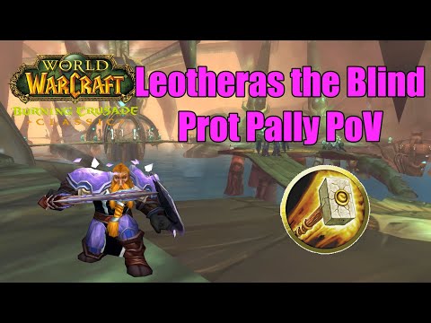 Leotheras the Blind Prot Paladin PoV - TBC Classic Phase 2