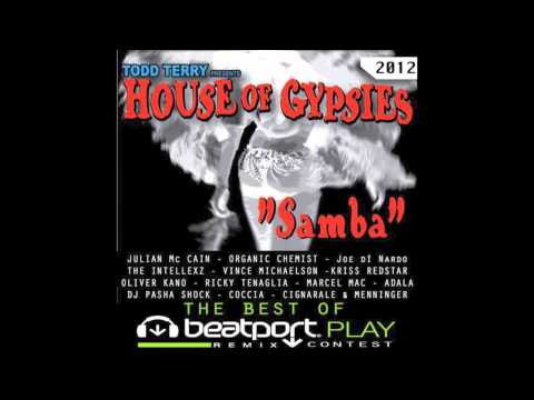 Todd Terry, House of Gypsies - Samba (Julian Mc Cain Remix)