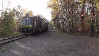preview picture of video 'SM42 & ST44 na linii kolejowej nr 183'