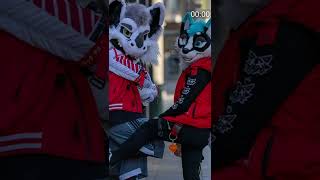 WHAT IS A FURRY (Explained in 1 Minute)