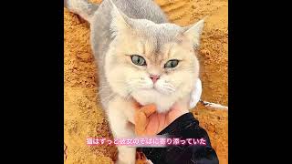 この猫は好きですか。 #animals #犬動画 #わんこ #いぬすたぐらむ #犬のいる暮らし #賢い犬 #忠犬 #感動犬