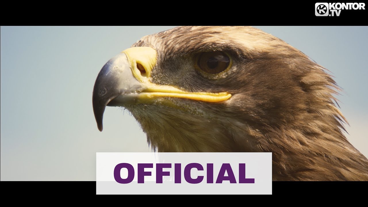 Lexer ft. Fran — Eagle Eye